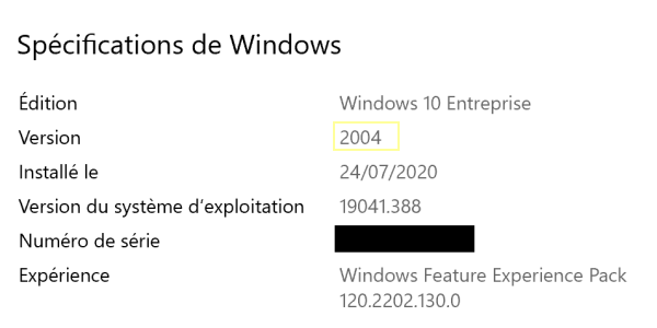 Windows 10 Enterprise version 2004